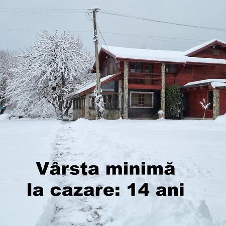 Vistisoara Casa Bunicului 빌라 외부 사진