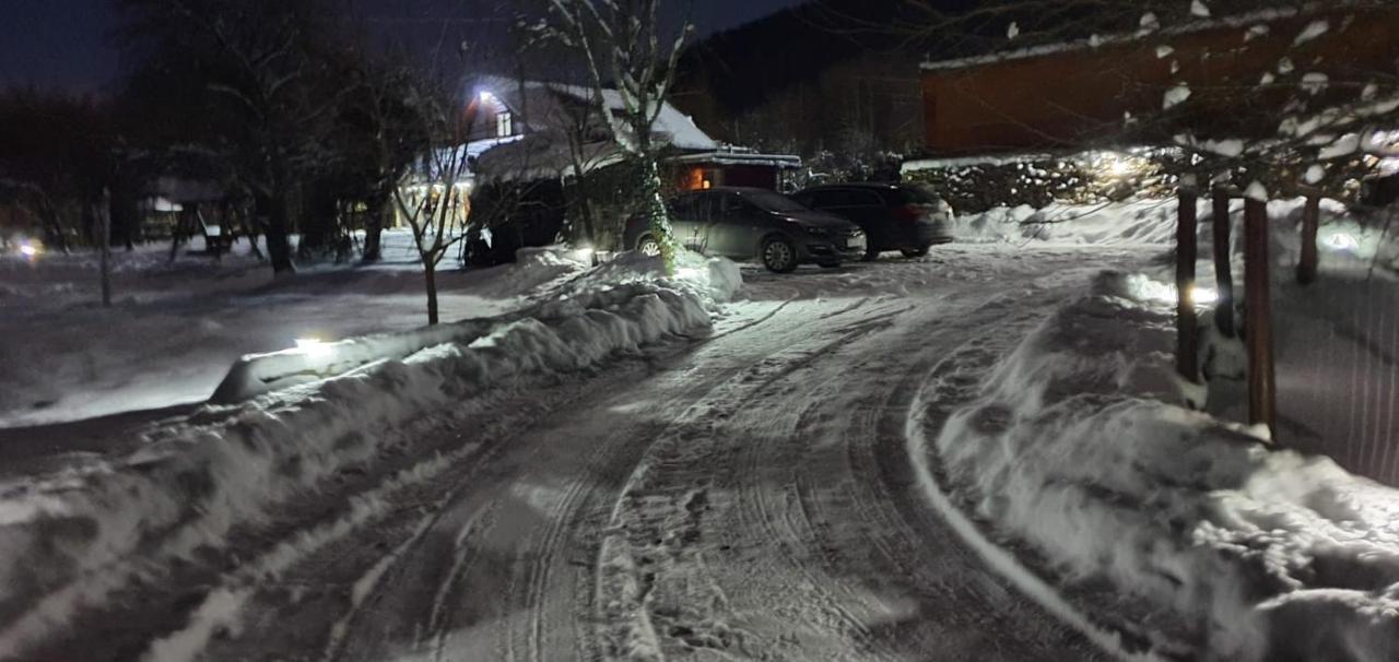 Vistisoara Casa Bunicului 빌라 외부 사진