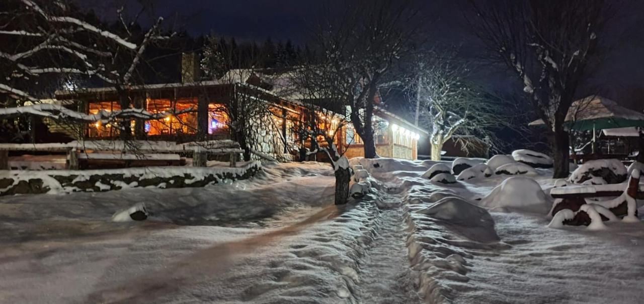 Vistisoara Casa Bunicului 빌라 외부 사진