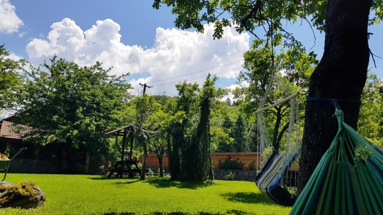 Vistisoara Casa Bunicului 빌라 외부 사진