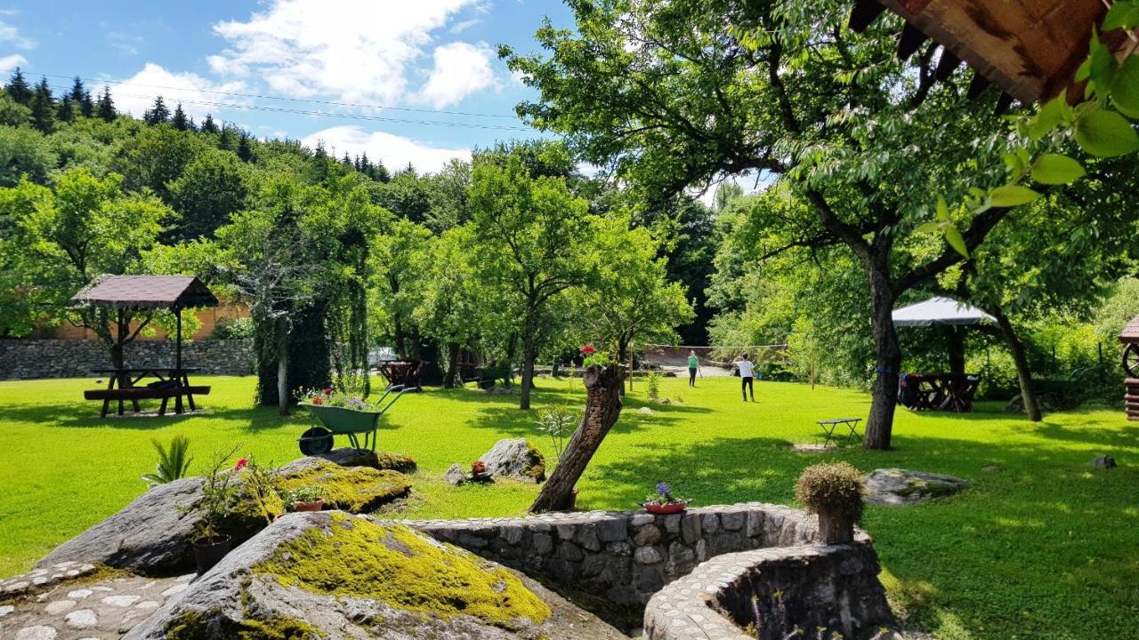 Vistisoara Casa Bunicului 빌라 외부 사진