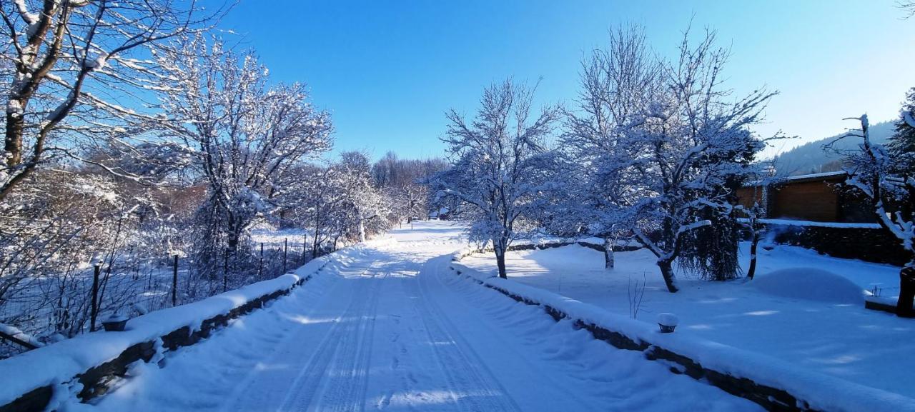 Vistisoara Casa Bunicului 빌라 외부 사진