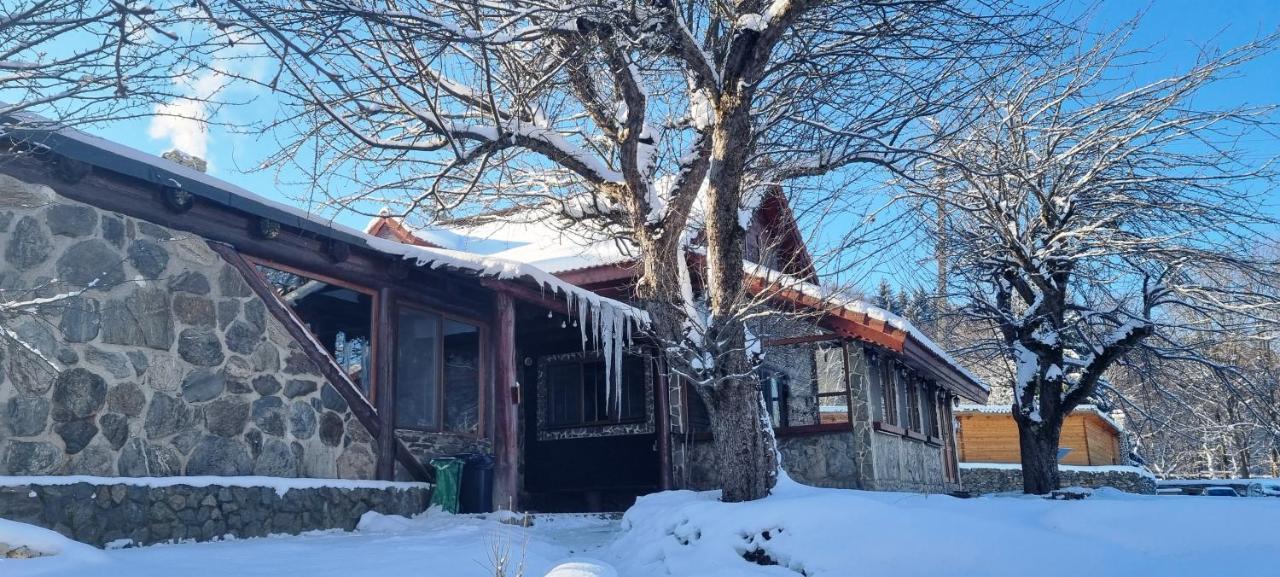 Vistisoara Casa Bunicului 빌라 외부 사진