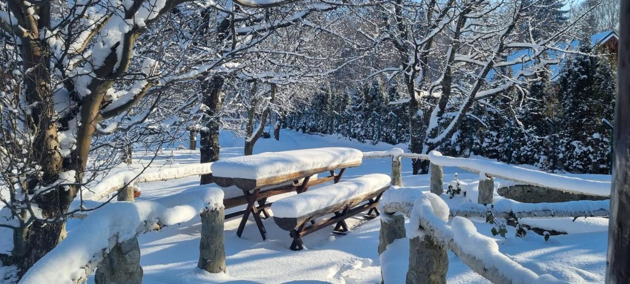 Vistisoara Casa Bunicului 빌라 외부 사진
