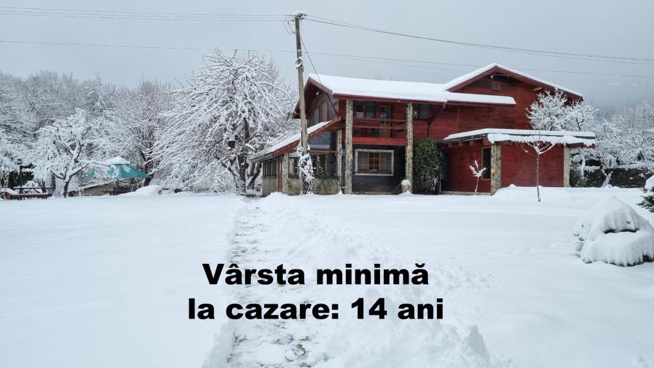 Vistisoara Casa Bunicului 빌라 외부 사진