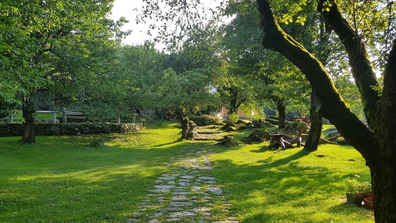 Vistisoara Casa Bunicului 빌라 외부 사진