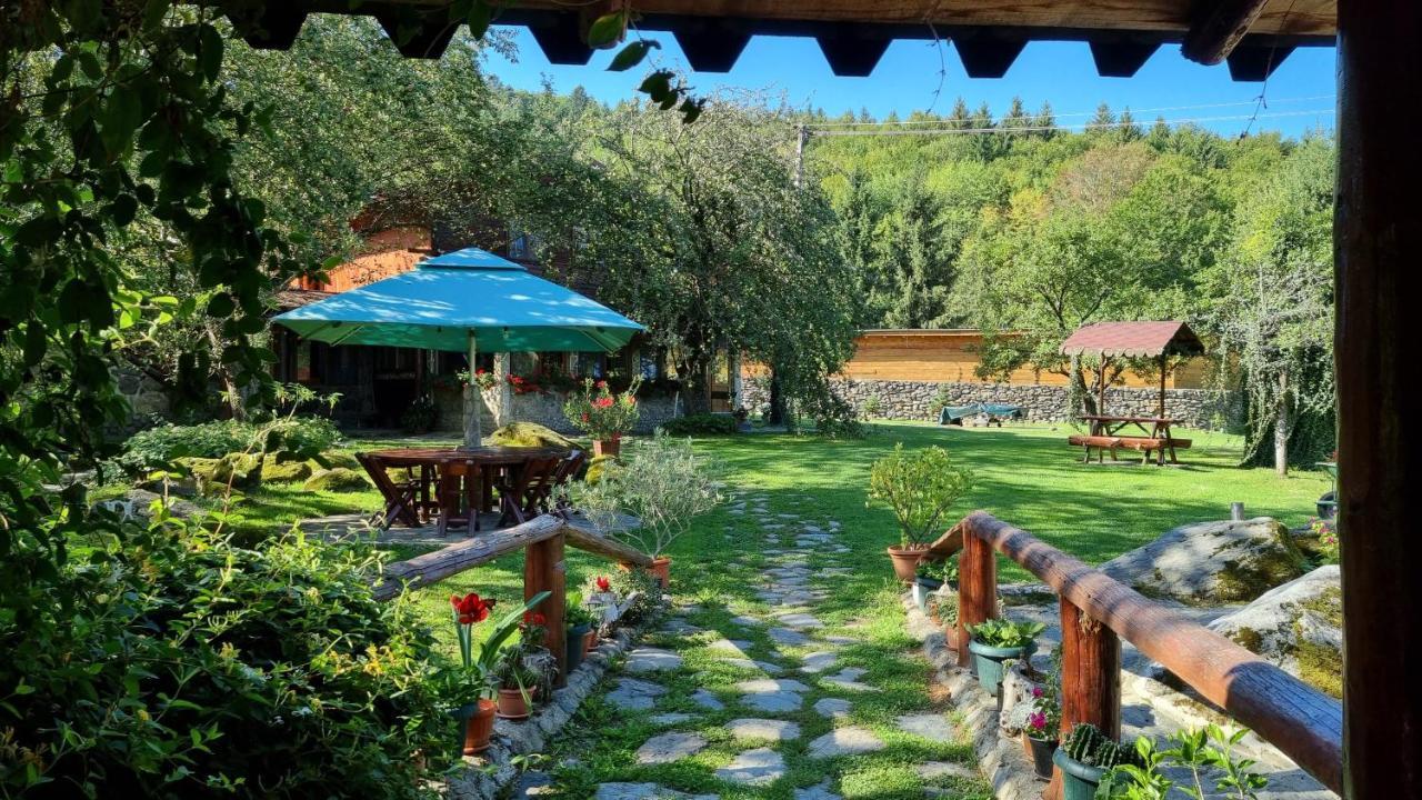 Vistisoara Casa Bunicului 빌라 외부 사진