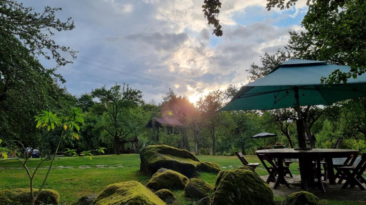 Vistisoara Casa Bunicului 빌라 외부 사진