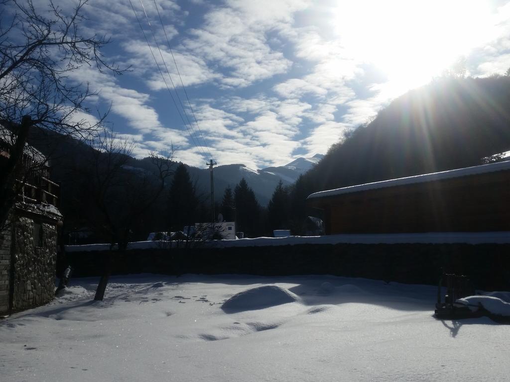 Vistisoara Casa Bunicului 빌라 외부 사진