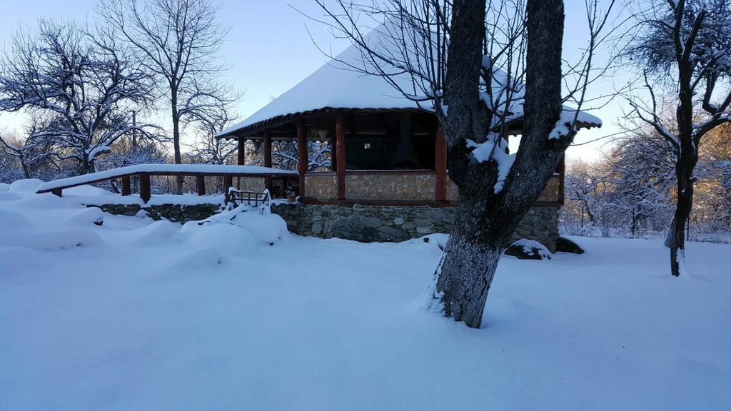Vistisoara Casa Bunicului 빌라 외부 사진