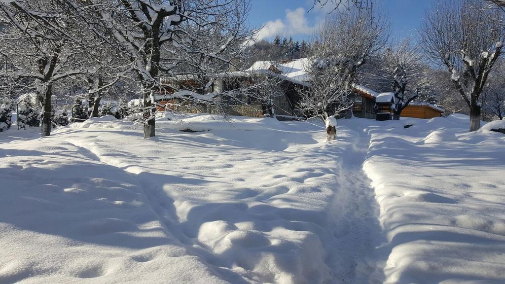 Vistisoara Casa Bunicului 빌라 외부 사진