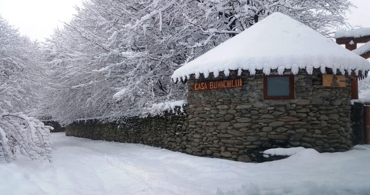 Vistisoara Casa Bunicului 빌라 외부 사진