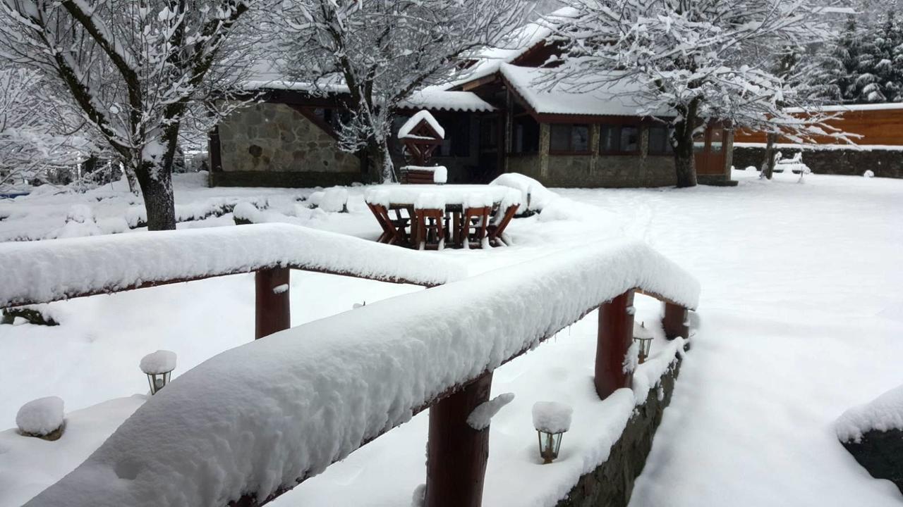 Vistisoara Casa Bunicului 빌라 외부 사진