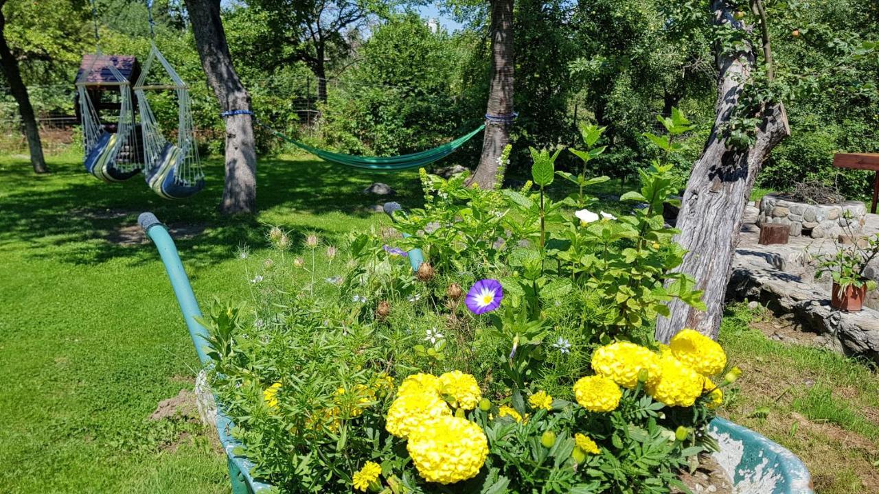 Vistisoara Casa Bunicului 빌라 외부 사진