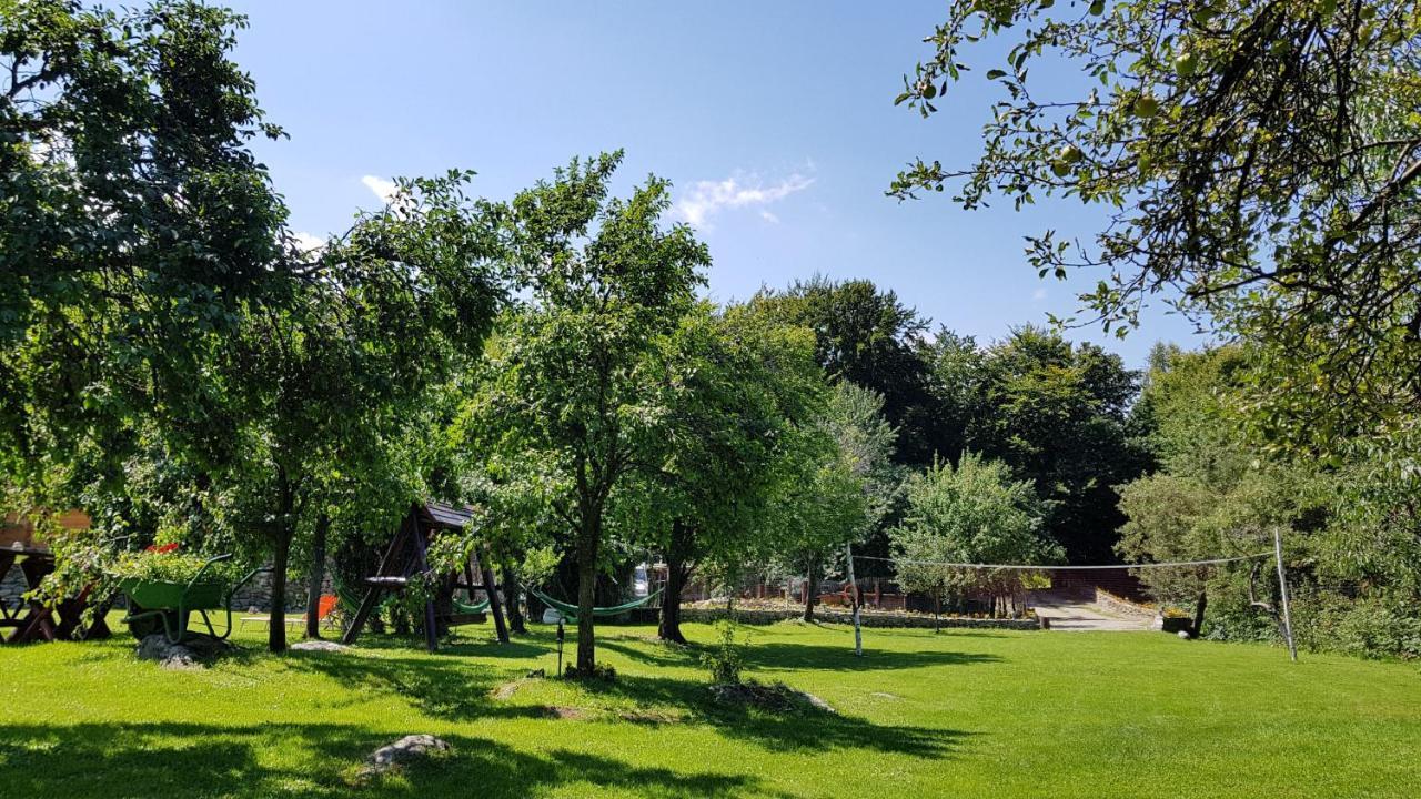 Vistisoara Casa Bunicului 빌라 외부 사진