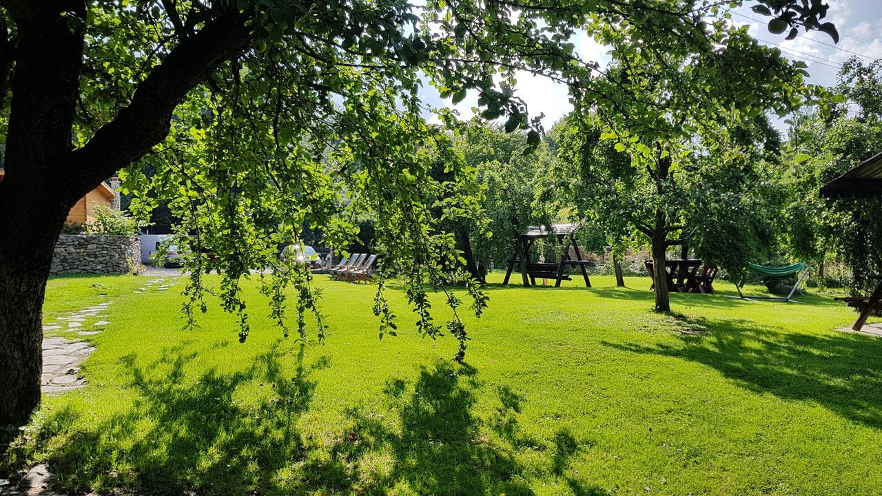 Vistisoara Casa Bunicului 빌라 외부 사진