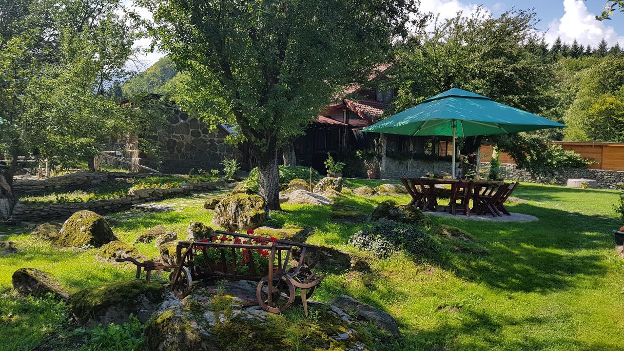 Vistisoara Casa Bunicului 빌라 외부 사진