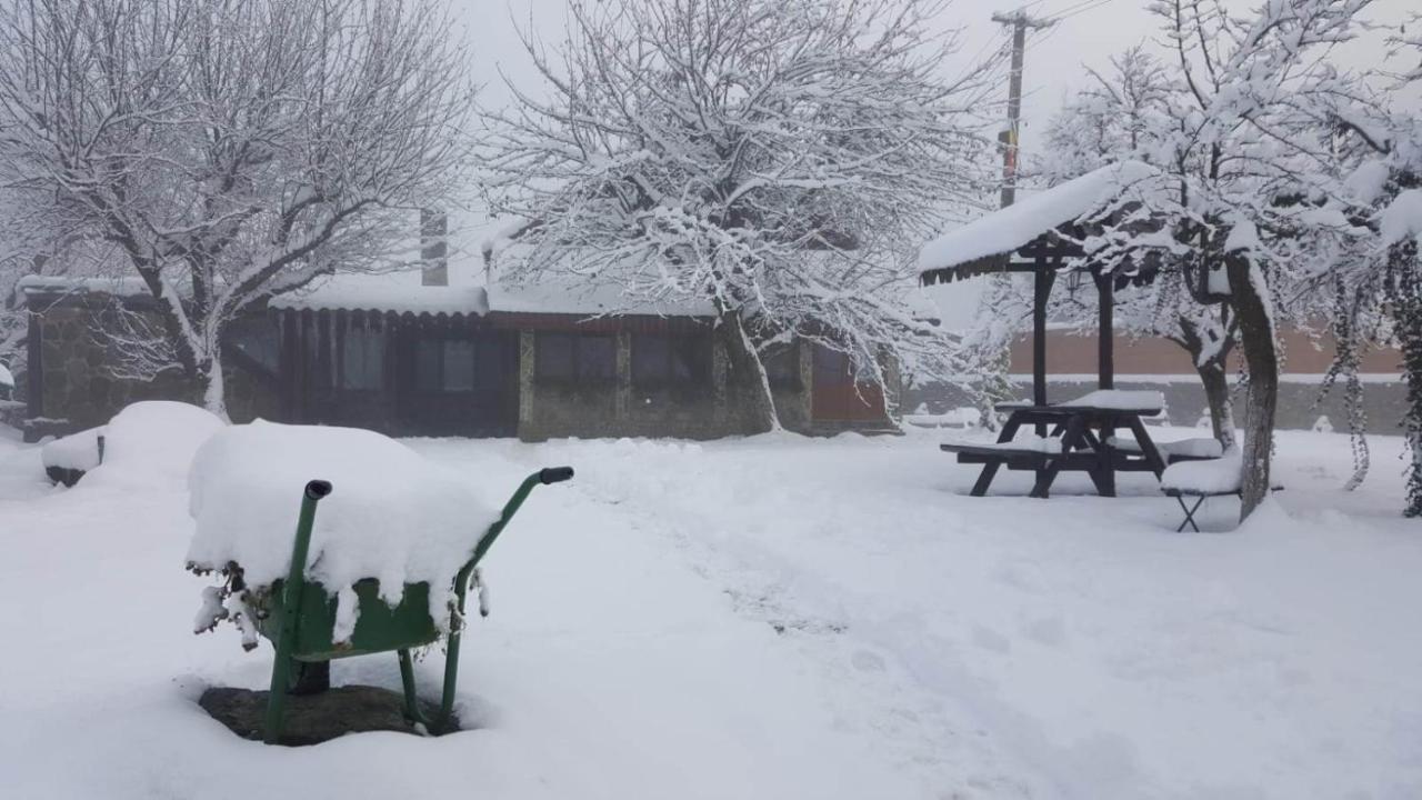 Vistisoara Casa Bunicului 빌라 외부 사진