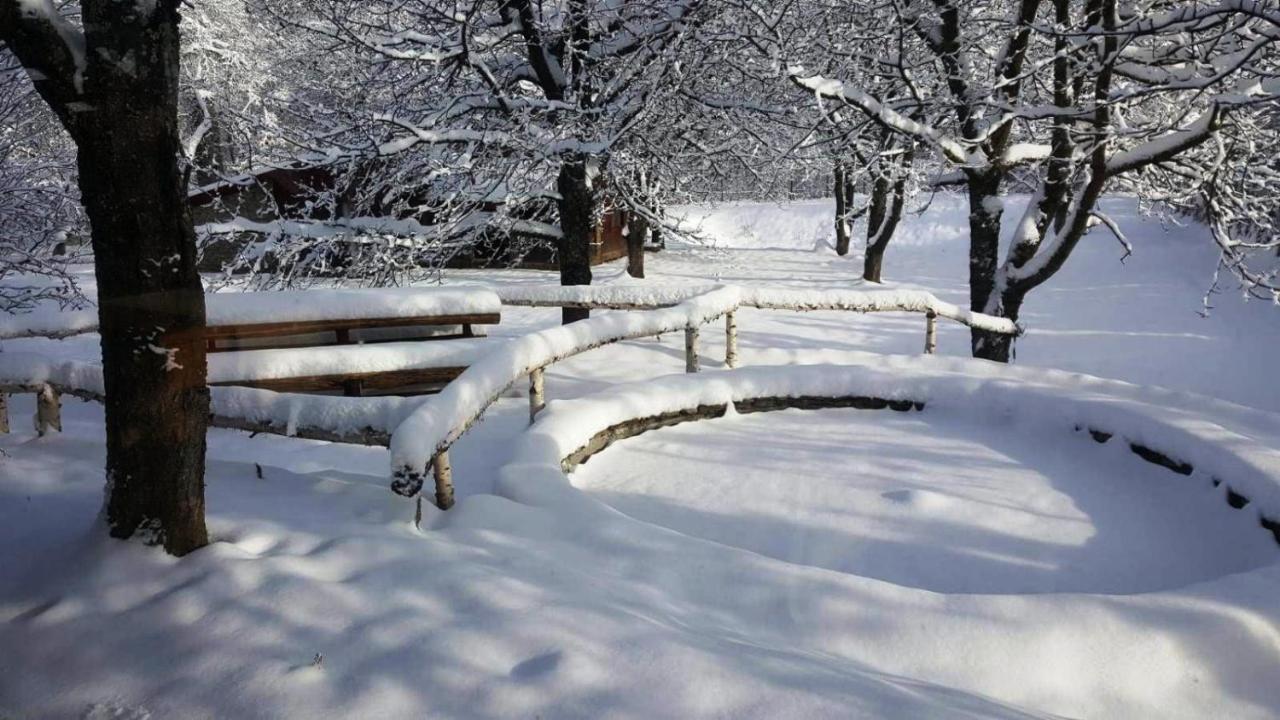 Vistisoara Casa Bunicului 빌라 외부 사진