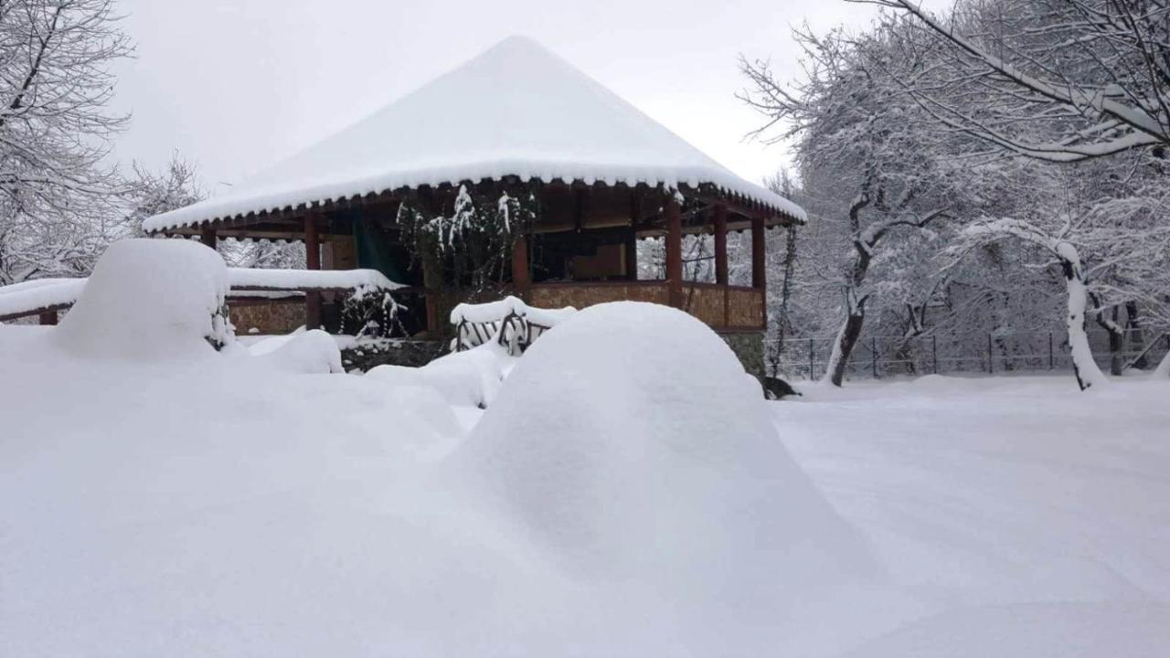 Vistisoara Casa Bunicului 빌라 외부 사진