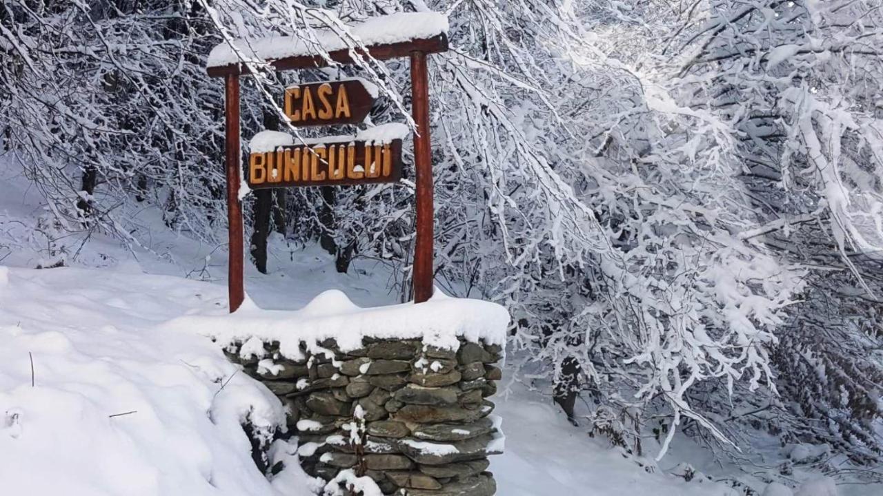 Vistisoara Casa Bunicului 빌라 외부 사진