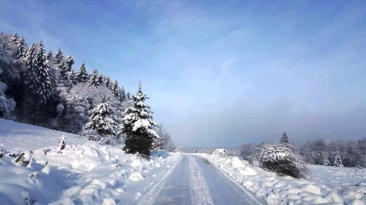 Vistisoara Casa Bunicului 빌라 외부 사진