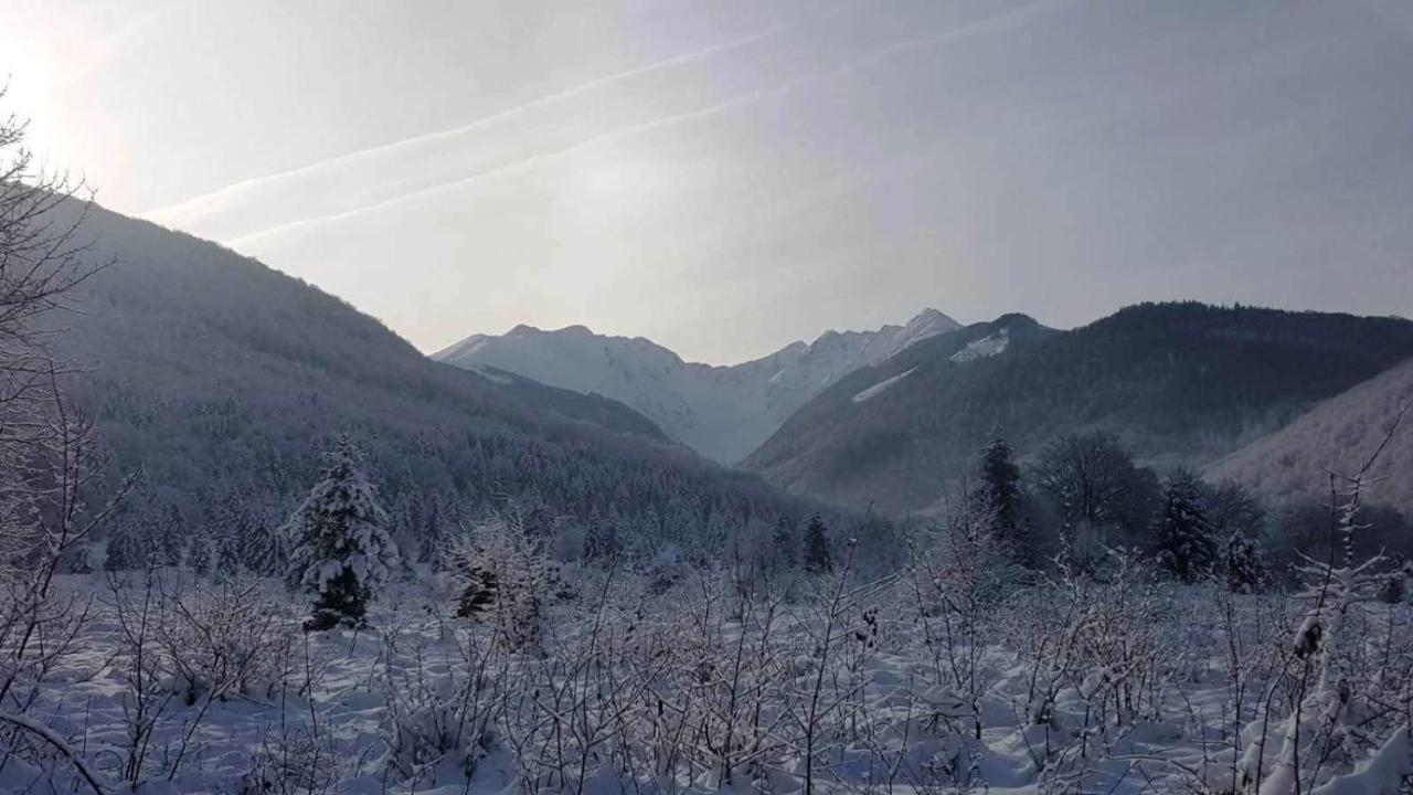 Vistisoara Casa Bunicului 빌라 외부 사진