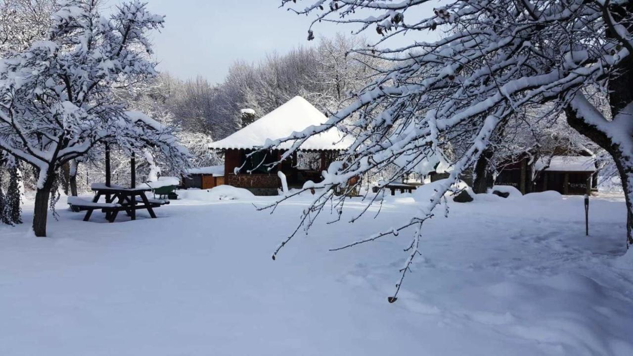 Vistisoara Casa Bunicului 빌라 외부 사진